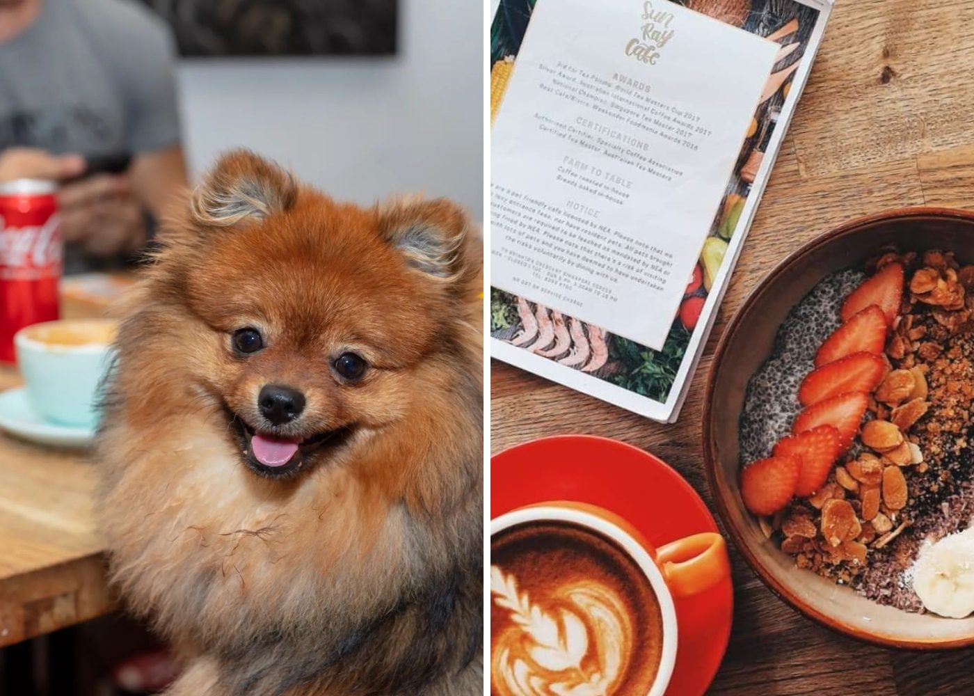 Pet friendly restaurant Sun Ray Cafe