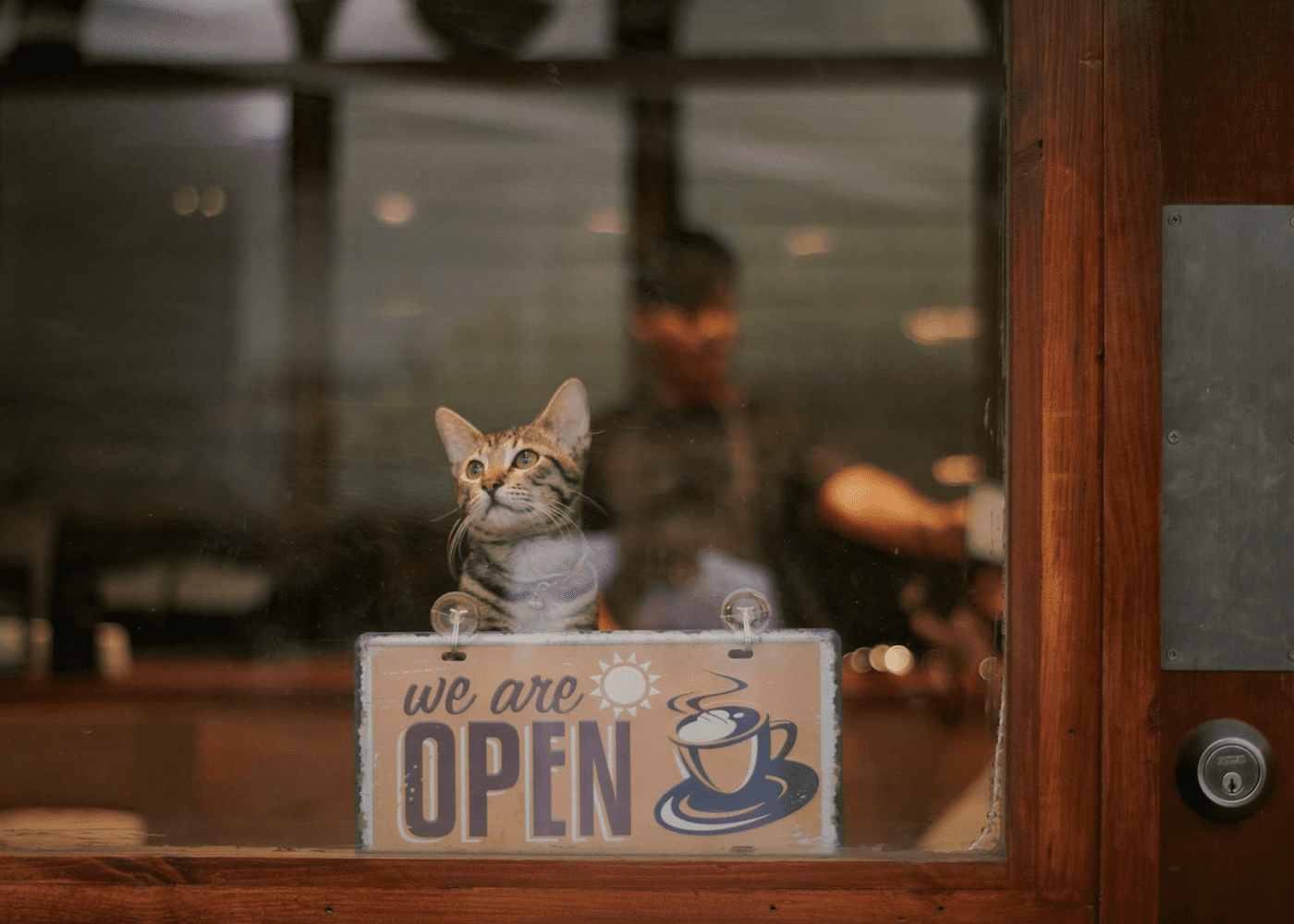 14 best dog cafes & cat cafes in Singapore to get your dose of the warm and fuzzies