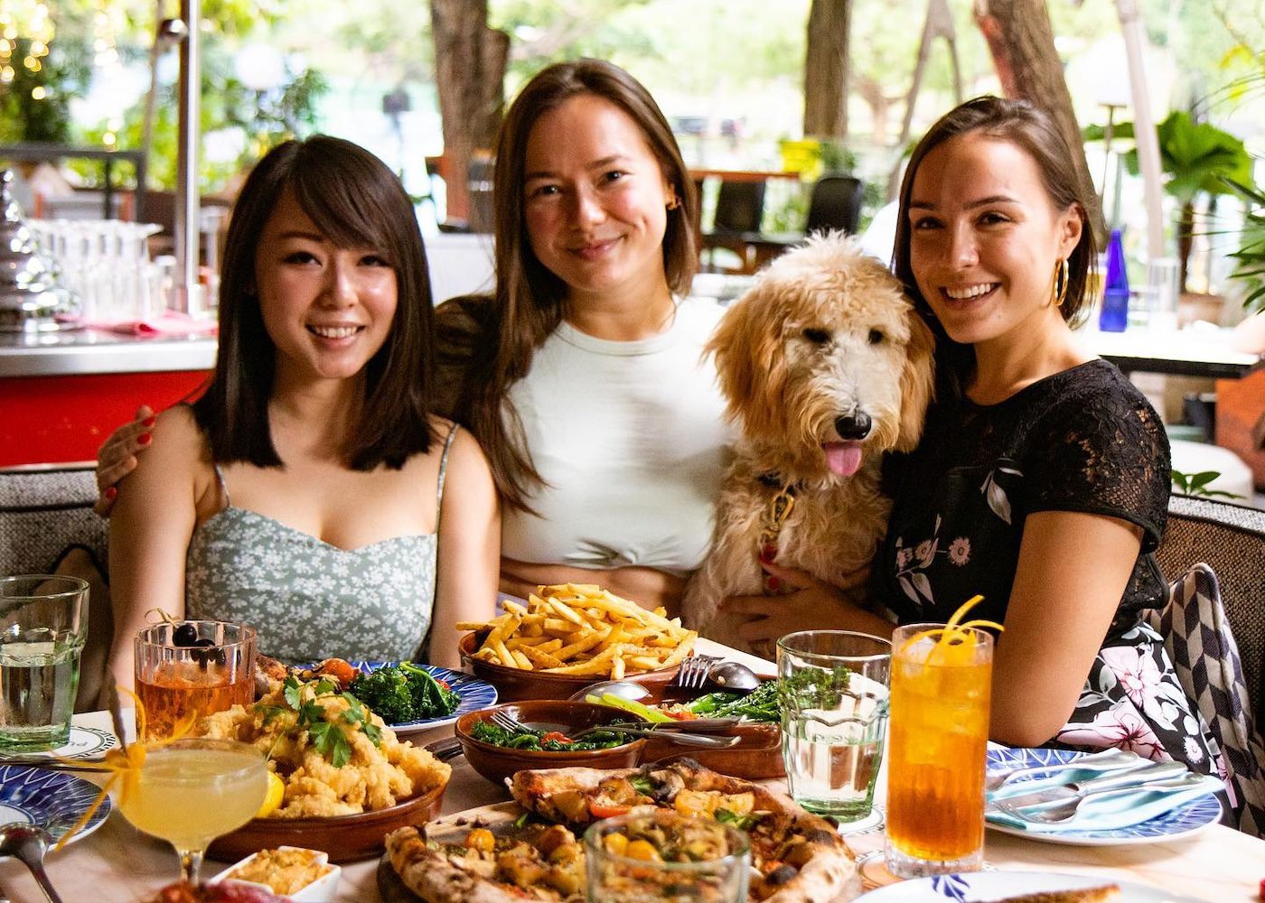 Best places to take your dog in Singapore: Dog-friendly cafes, hotels, cruises, and more!