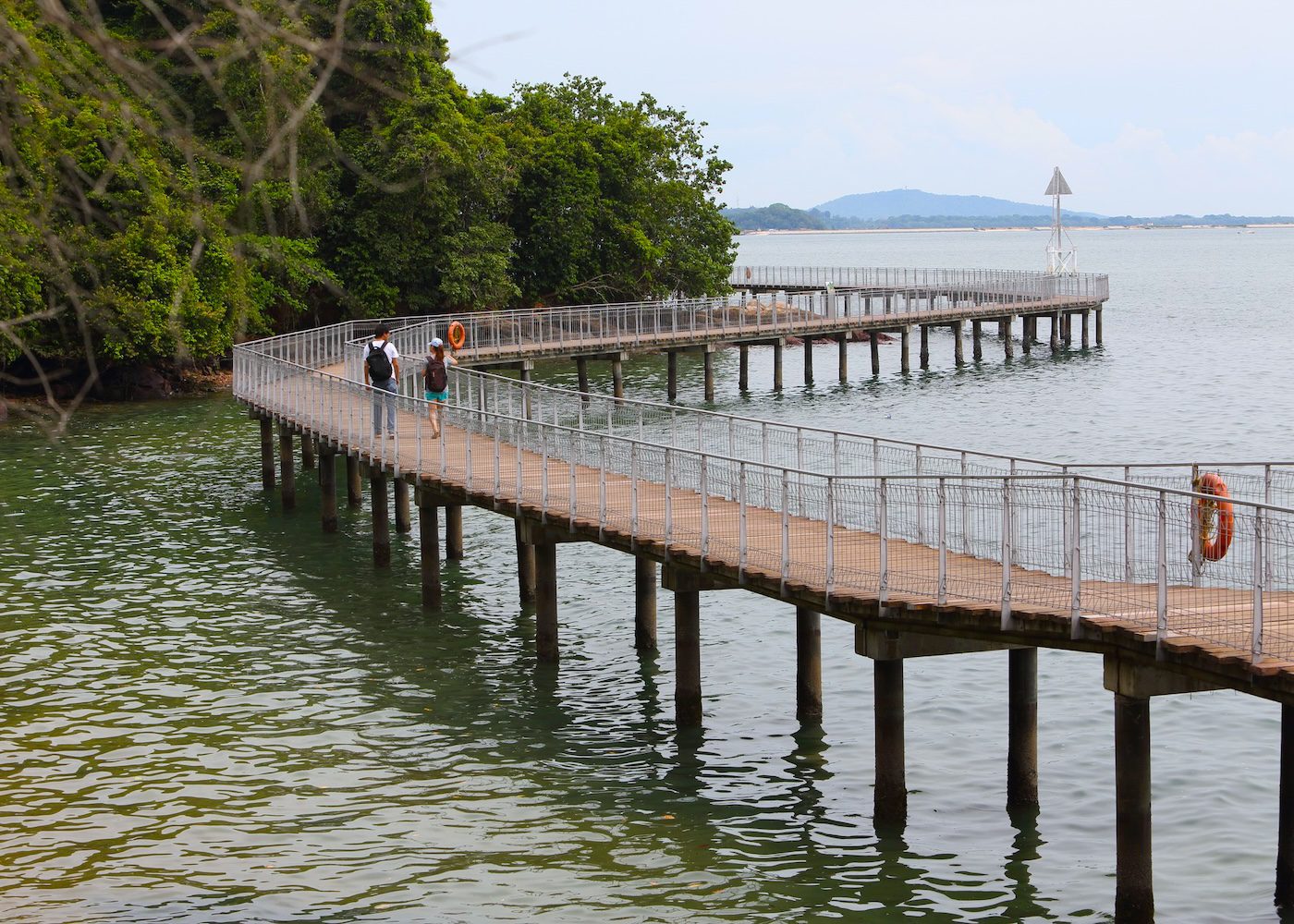 pulau ubin guide boardwalk