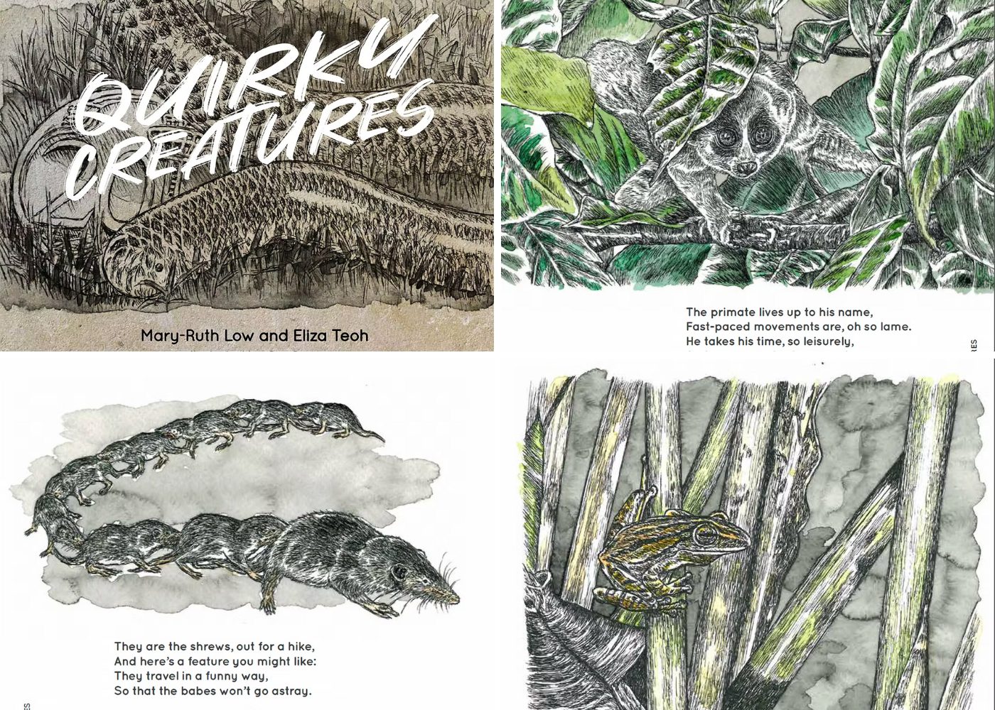 rban Wildlife Singapore: Quirky Creatures kids stories
