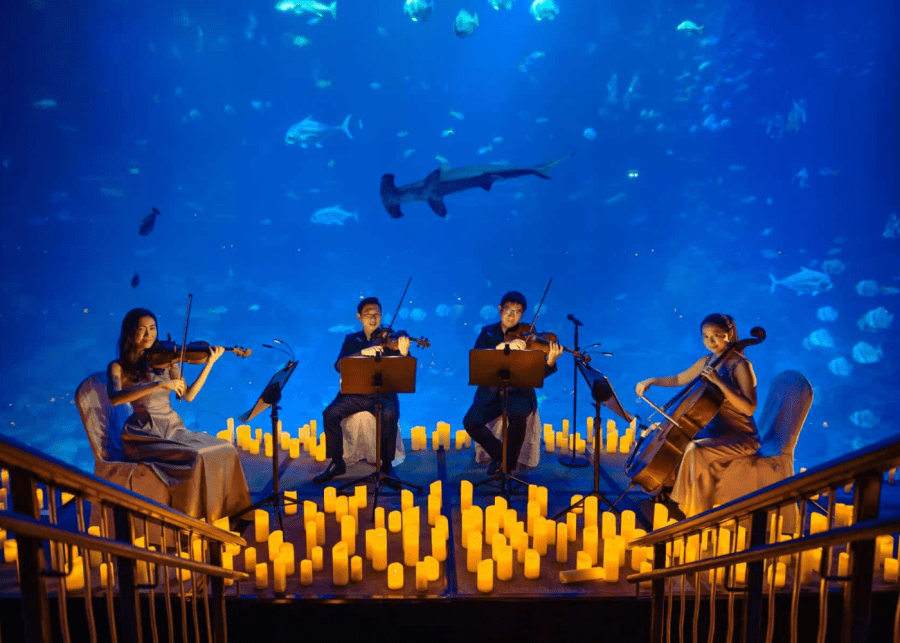 Harry Potter Candlelight Concert SEA Aquarium