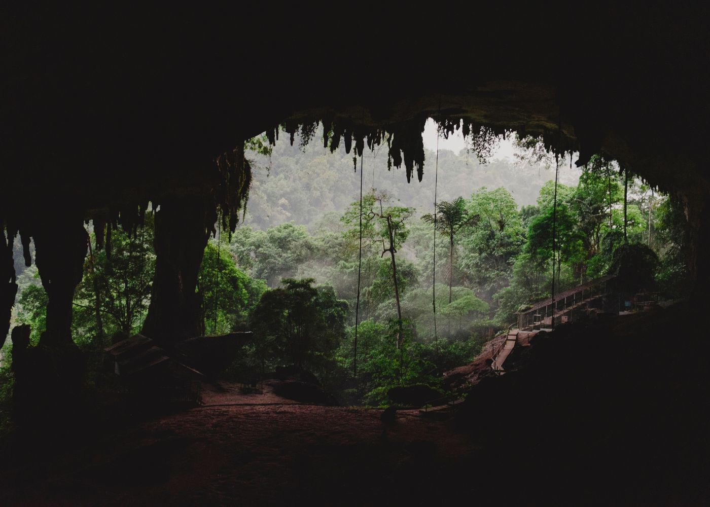 sifa refuge