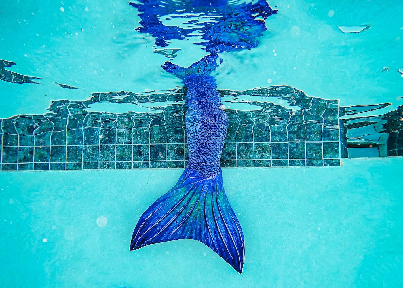 The best ocean-themed books for kids: Seas the day with these swimmingly jaw-some reads!