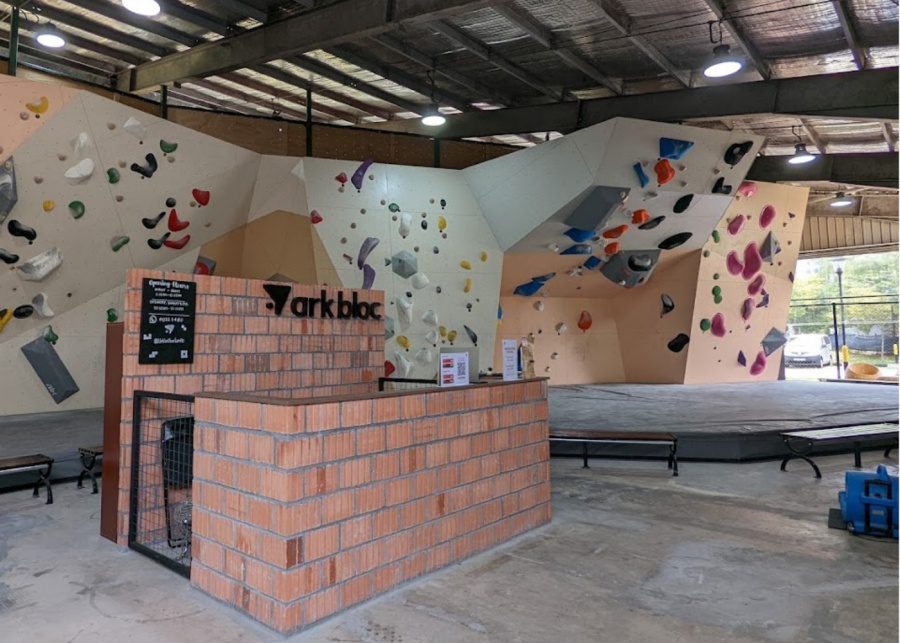 Ark bloc climbing gym singapore