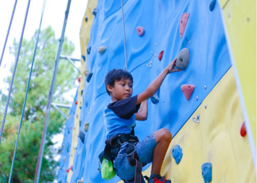 The cliff rock climbing for kids 