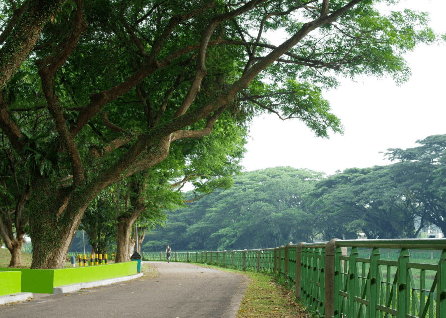 central urban loop park connector singapore