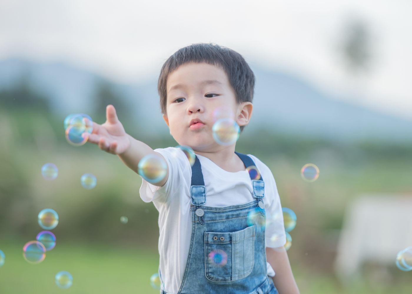 health bubble play gut