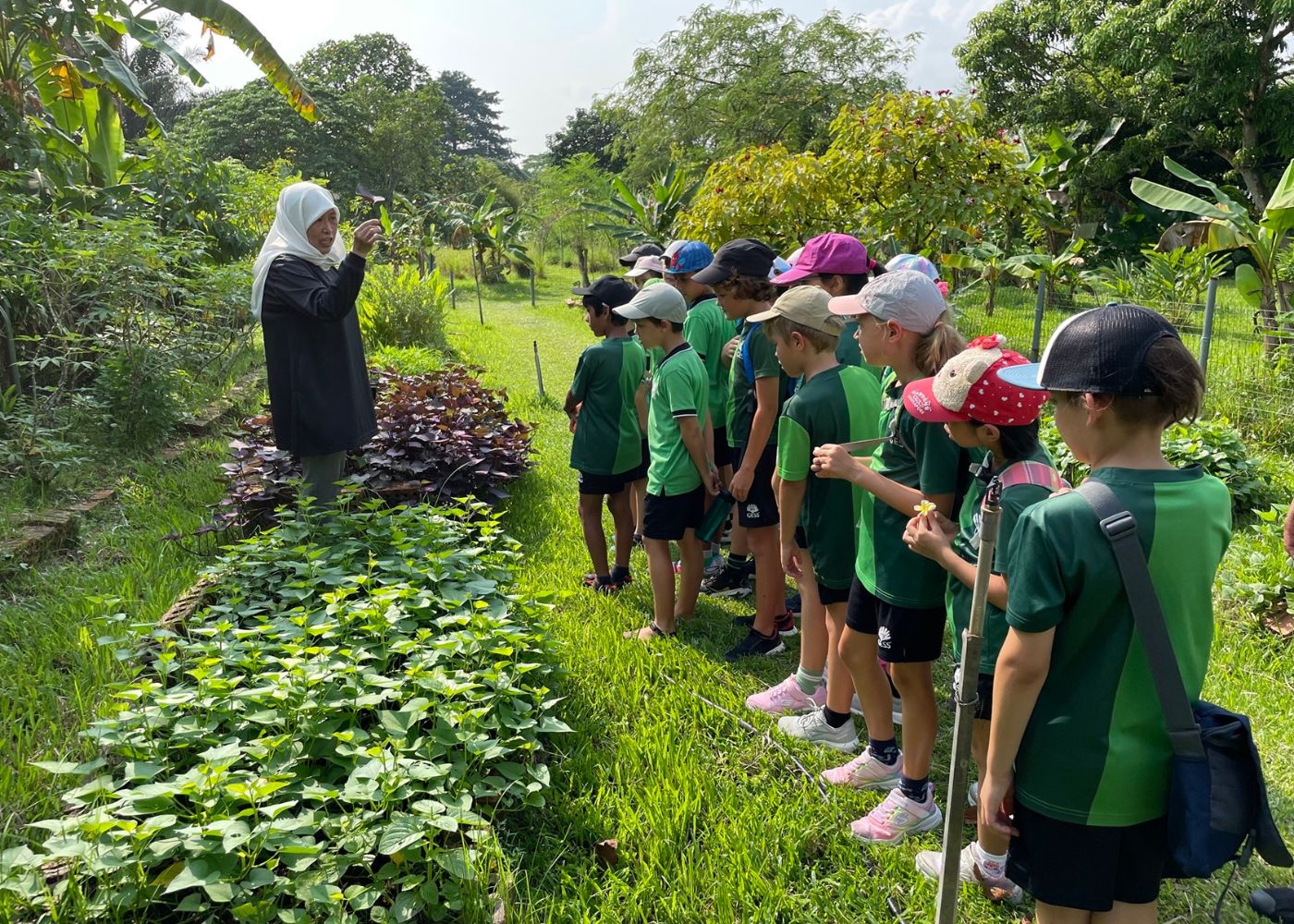 From electric vehicle chargers to building a new Eco-Garden, here’s how this international school is working towards a greener future