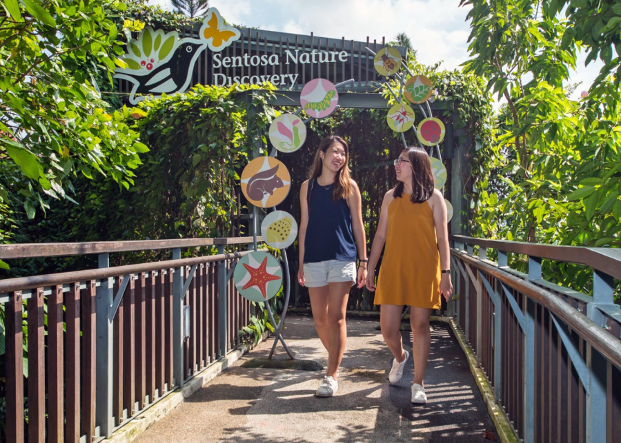 Sentosa Discovery