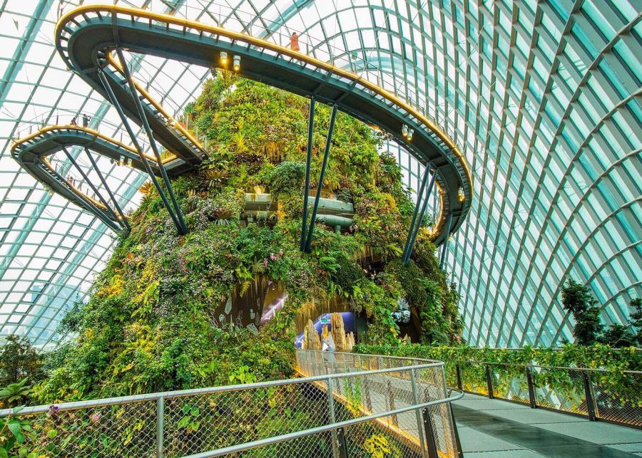 cloud forest gardens by the bay bridge wheelchair accessible