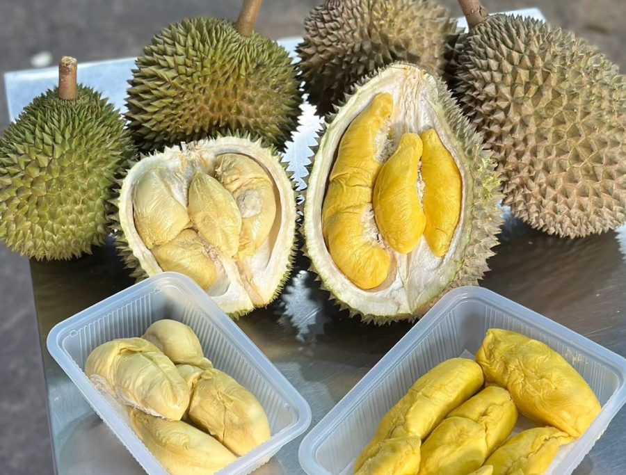 durian singapore 99 old trees cafe