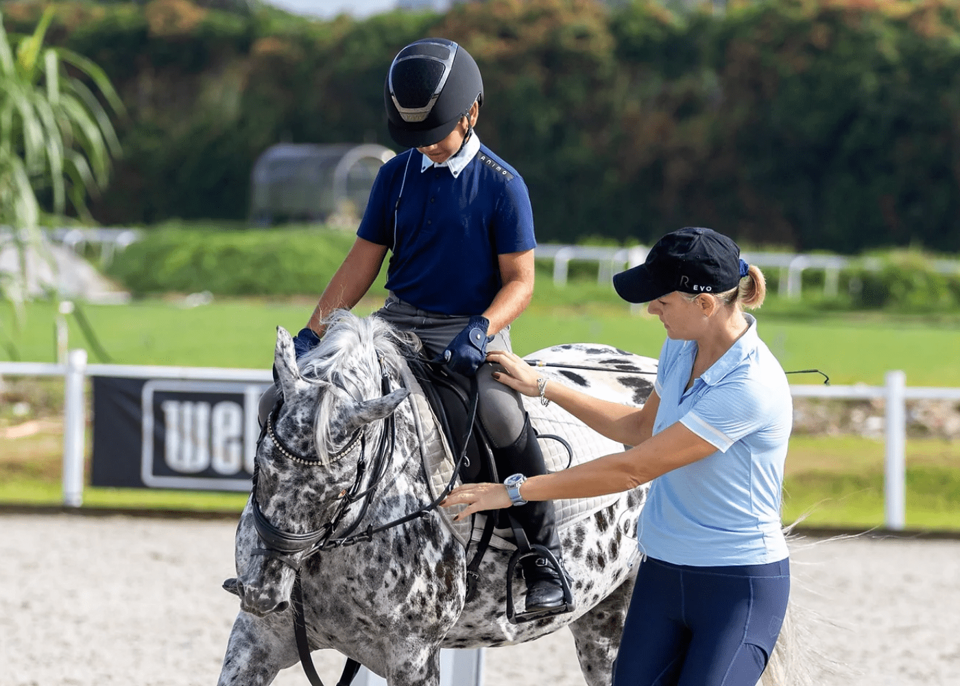Bukit Timah Saddle Club