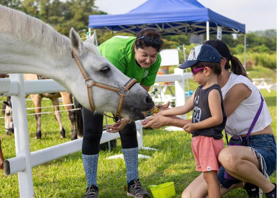 horse riding in singapore