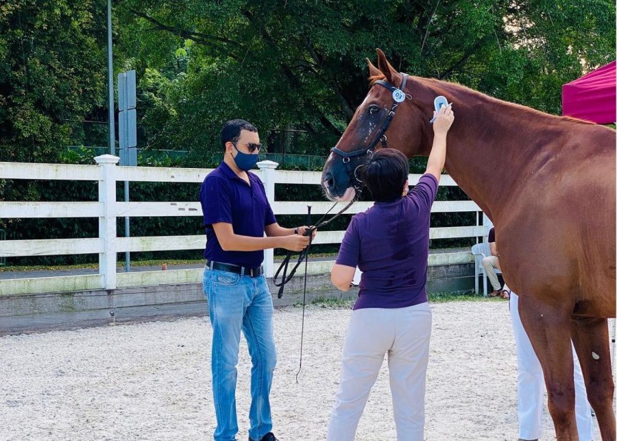 horse riding schools in singapore