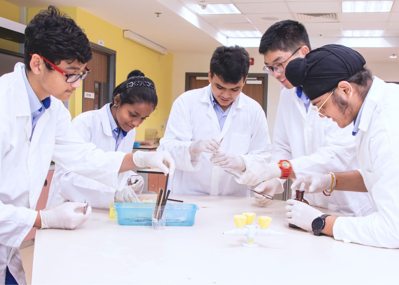 Time for your child to choose their IB Diploma Programme subjects? Here’s everything you need to know