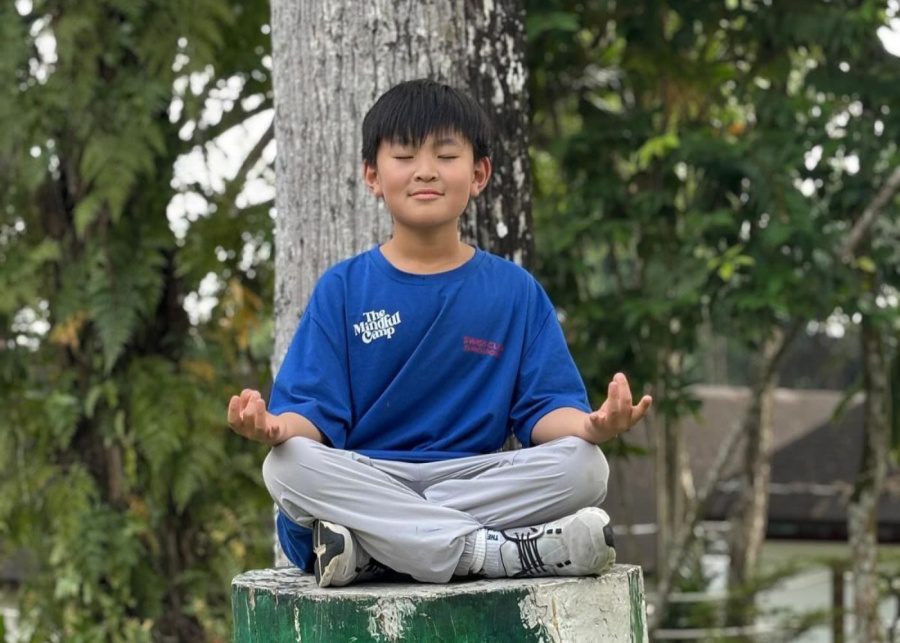 summer camps the mindful camp