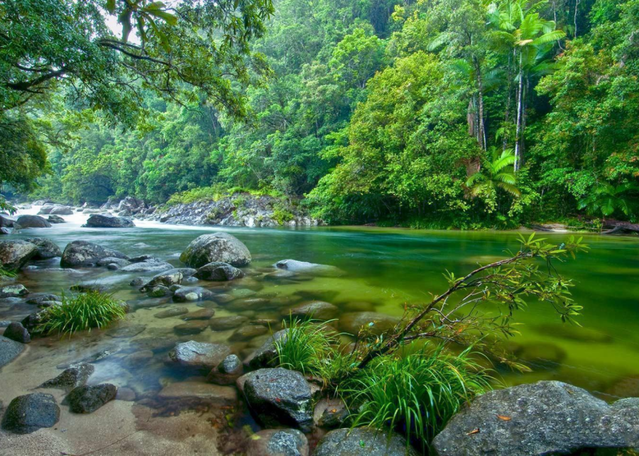 Daintree Rainforest from Port Douglas australia