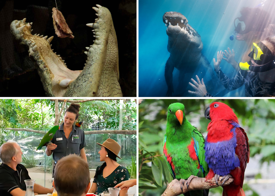 Wildlife Habitat Port Douglas australia