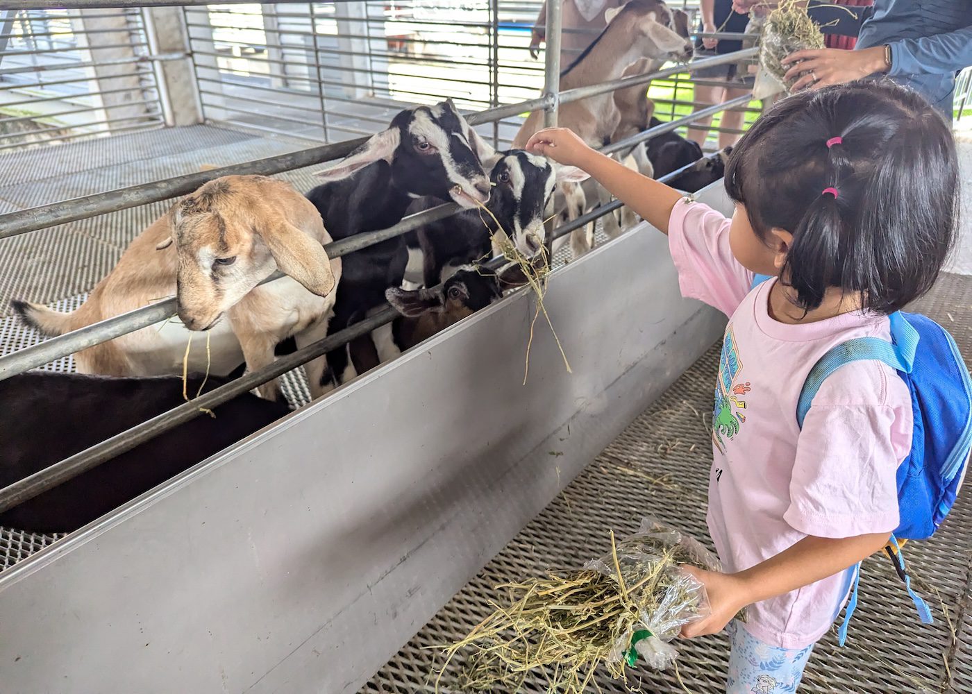 17 animal farms & urban farms in Singapore to visit with kids