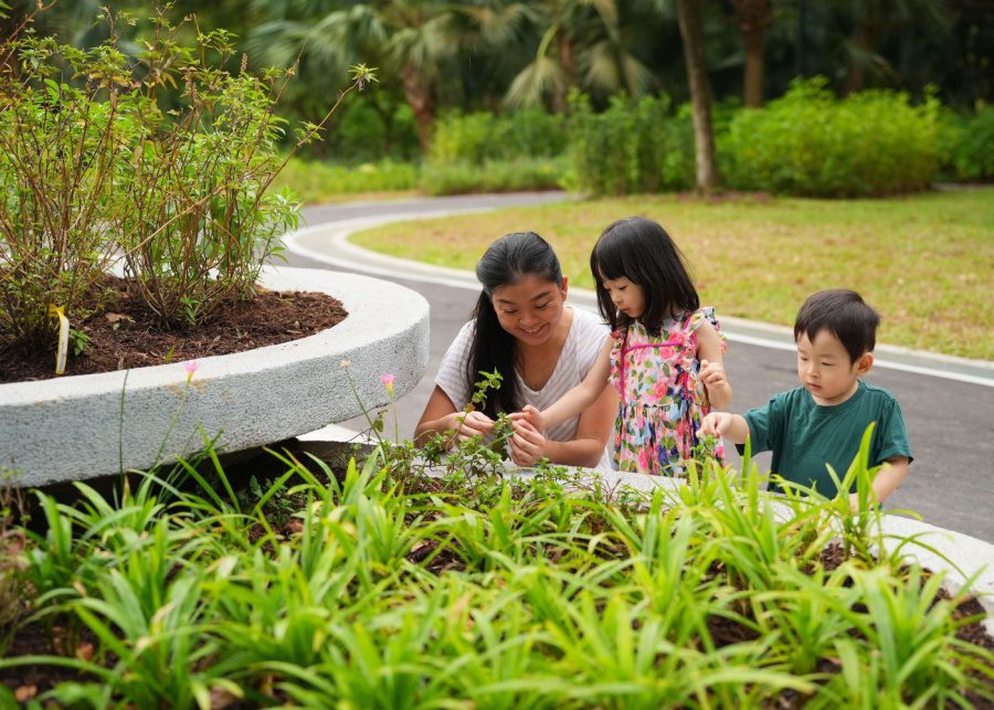 Nature Playgardens Therapeutic Gardens Singapore