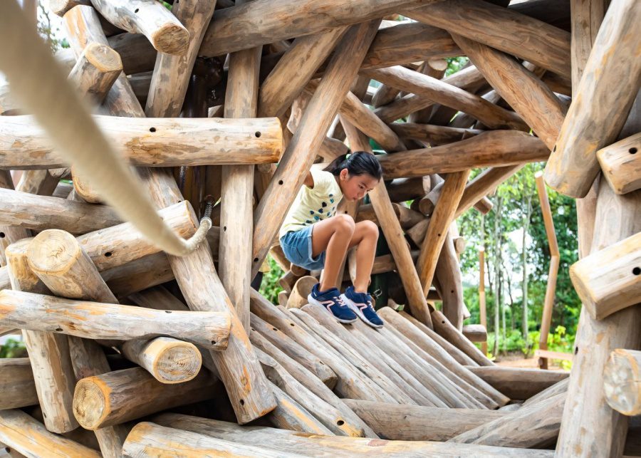 Nature Playgardens Therapeutic Gardens Singapore