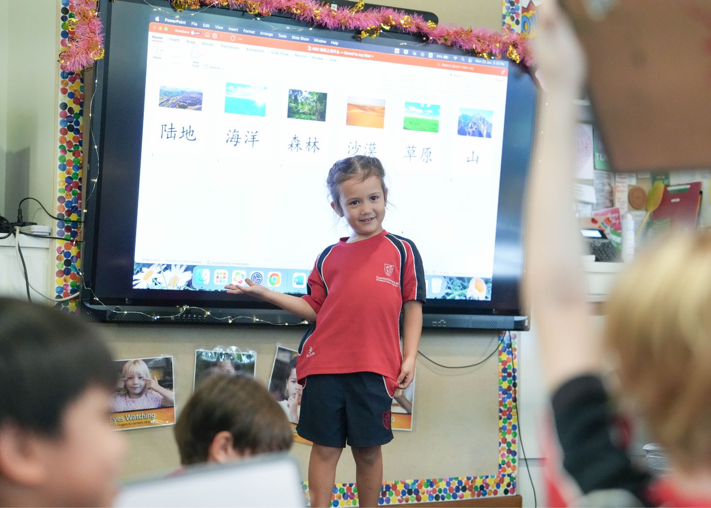 bilingual schools stamford american