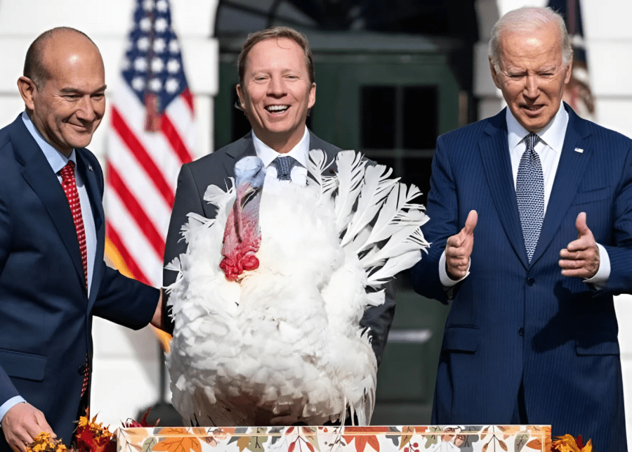 Thanksgiving turkey pardon