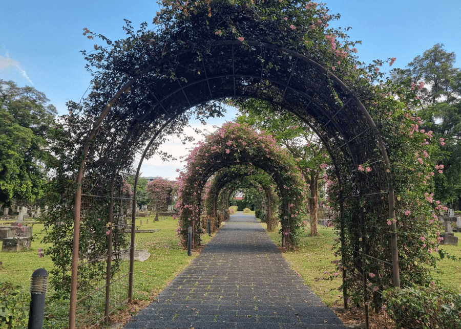 japanese cemetery park hero