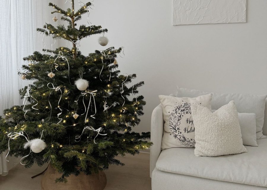 christmas tree singapore order online