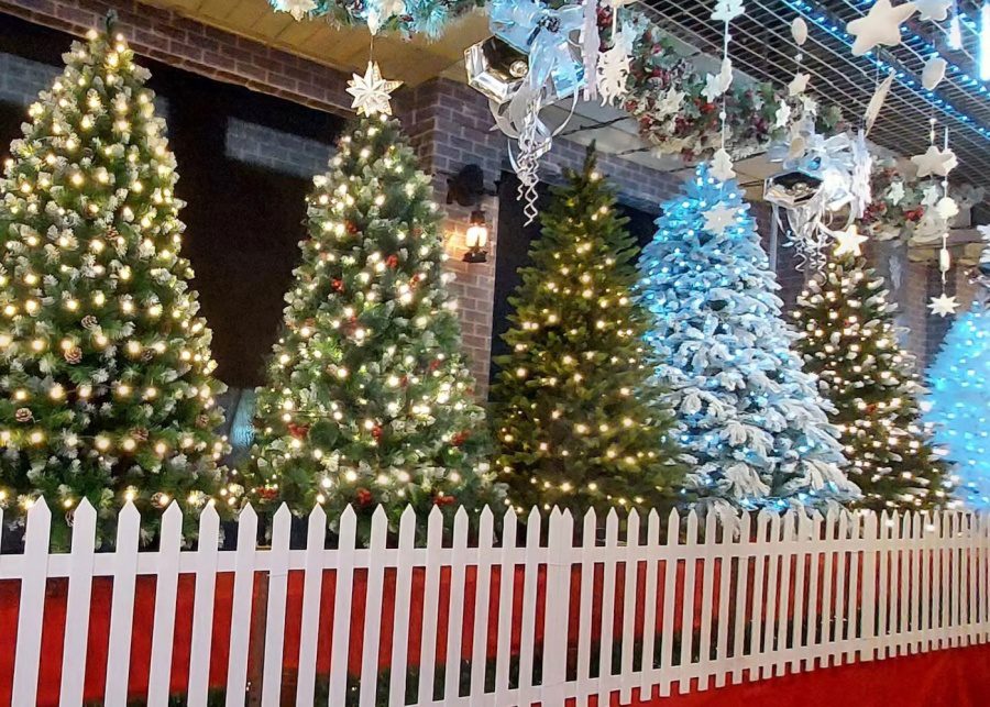 henry christmas wholesaler trees