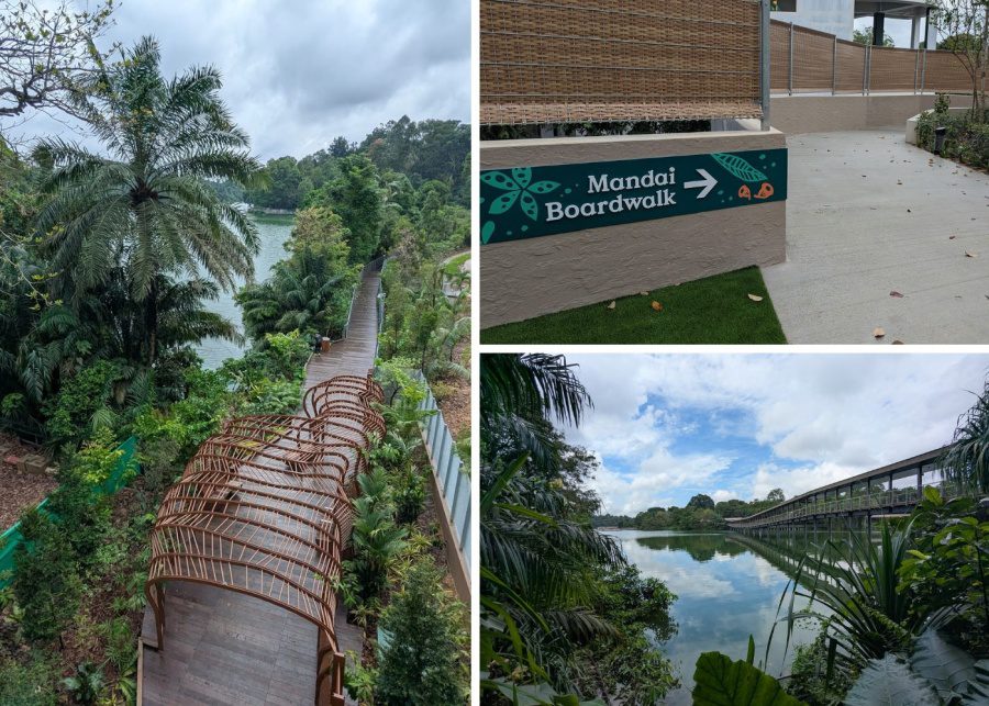 mandai boardwalk honeykids asia