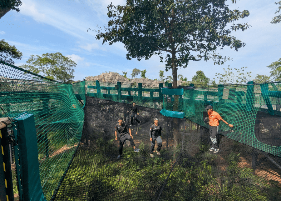AIA Vitality Bounce Rainforest Wild Asia