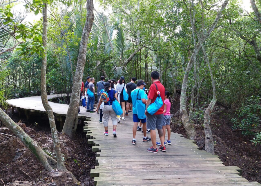 Chek Jawa Boardwalk | boardwalks in singapore
