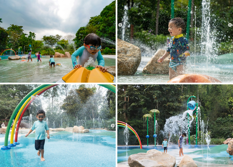 Jacob Ballas Children's Garden new opening things to do with kids in Singapore botanic gardens