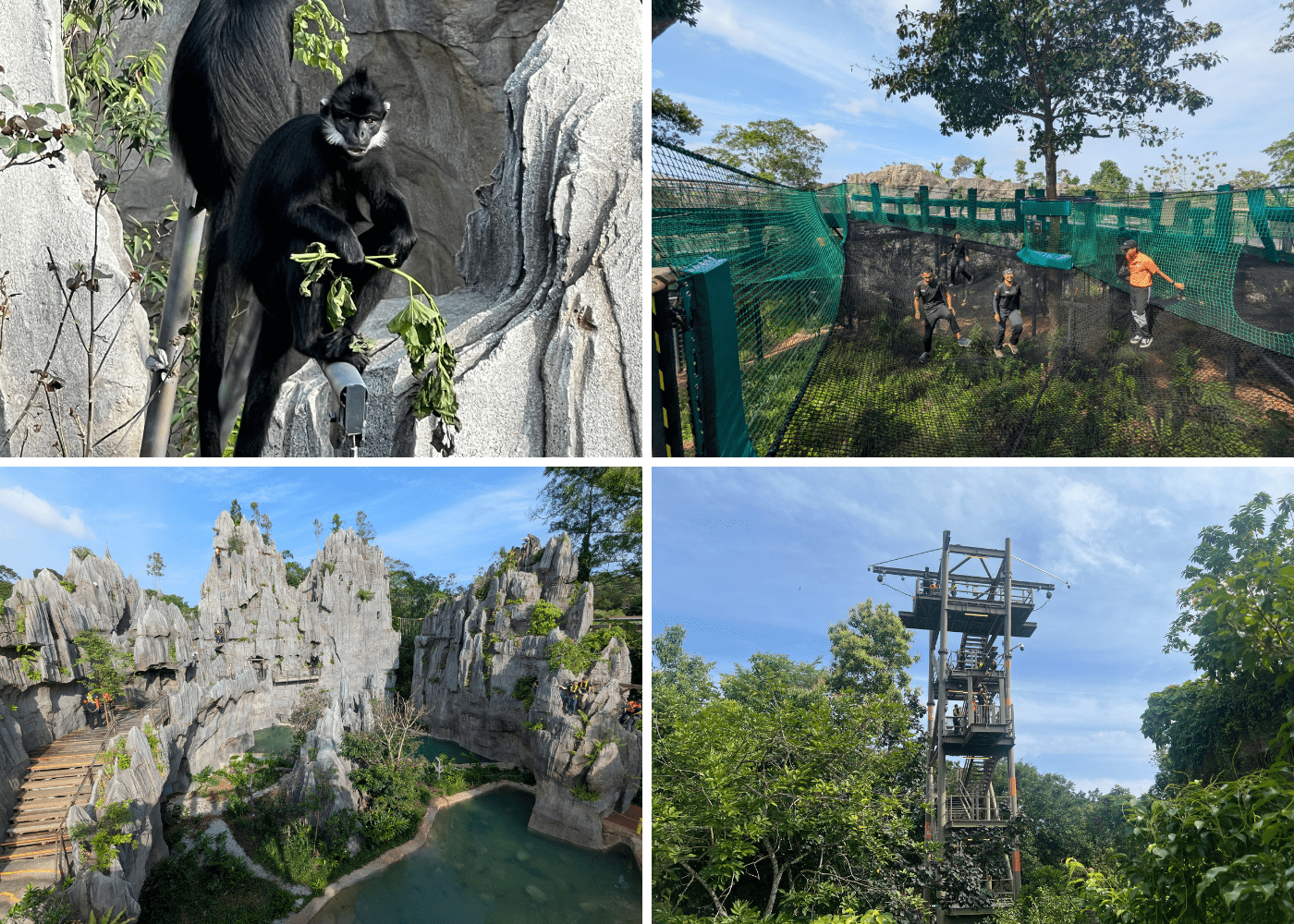 NEW! Ultimate guide to Mandai Rainforest Wild Asia: Opening date, tickets, animals, food and adventure zones