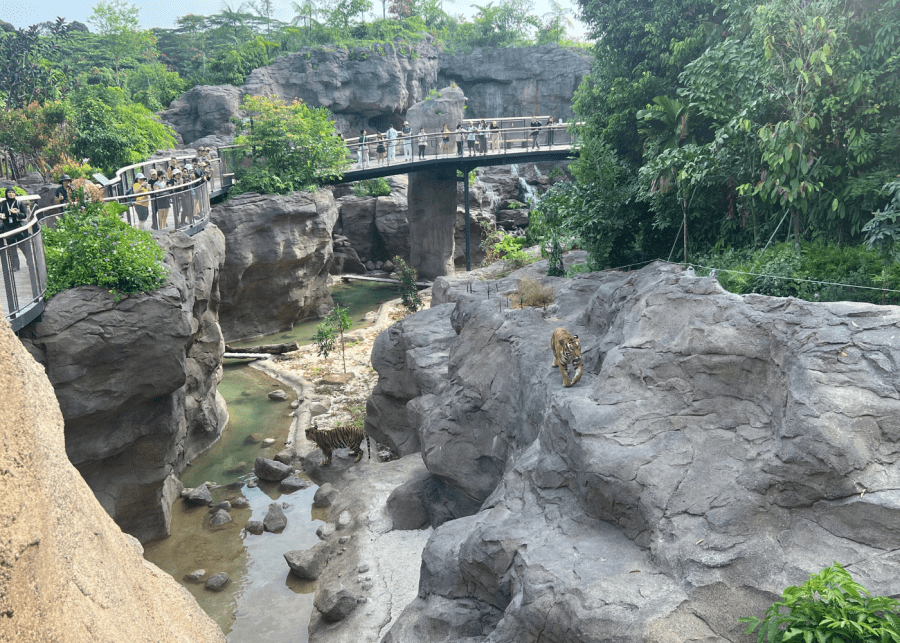 Rock Cascade
