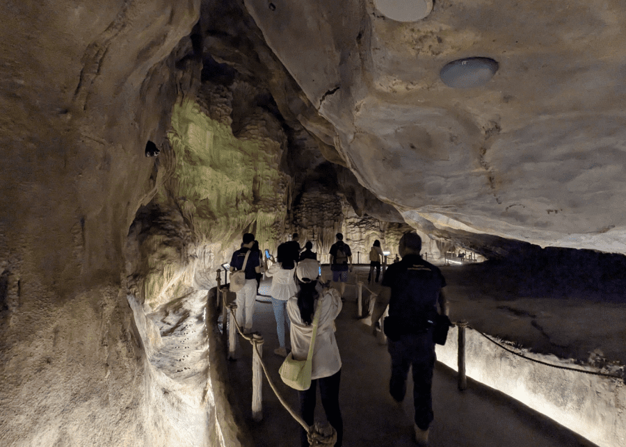 The Cavern Rainforest Wild Asia