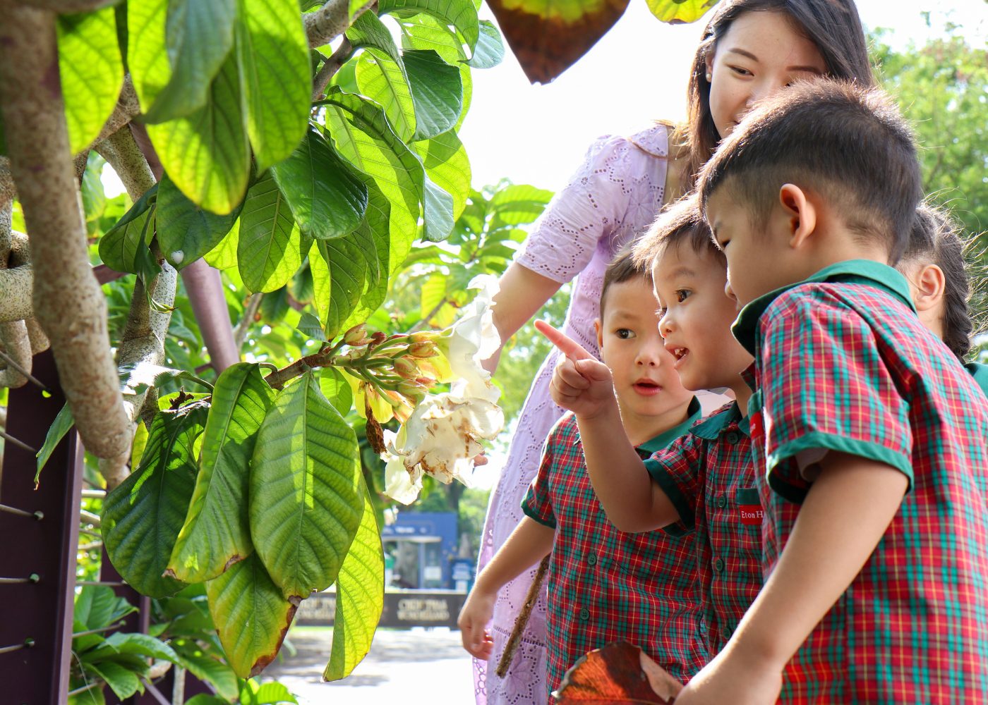best preschools etonhouse