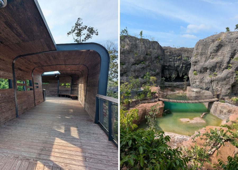 rainforest wild asia board walk wheelchair access forest trek adventure