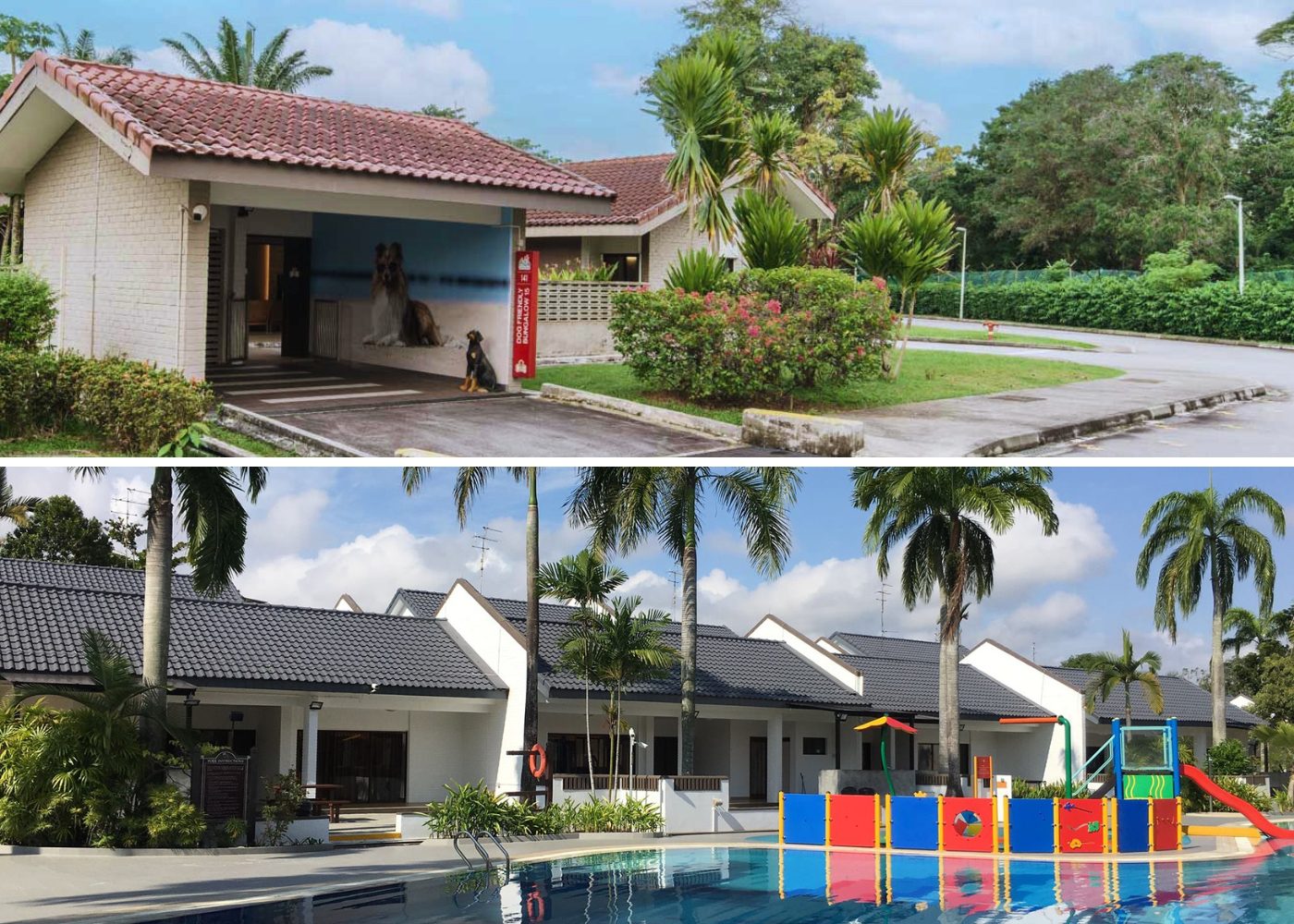 dog friendly stays CSC Loyang