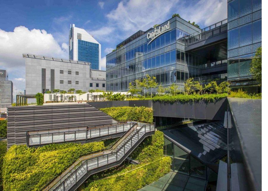 Funan Mall Roof Garden fireworks viewing spot
