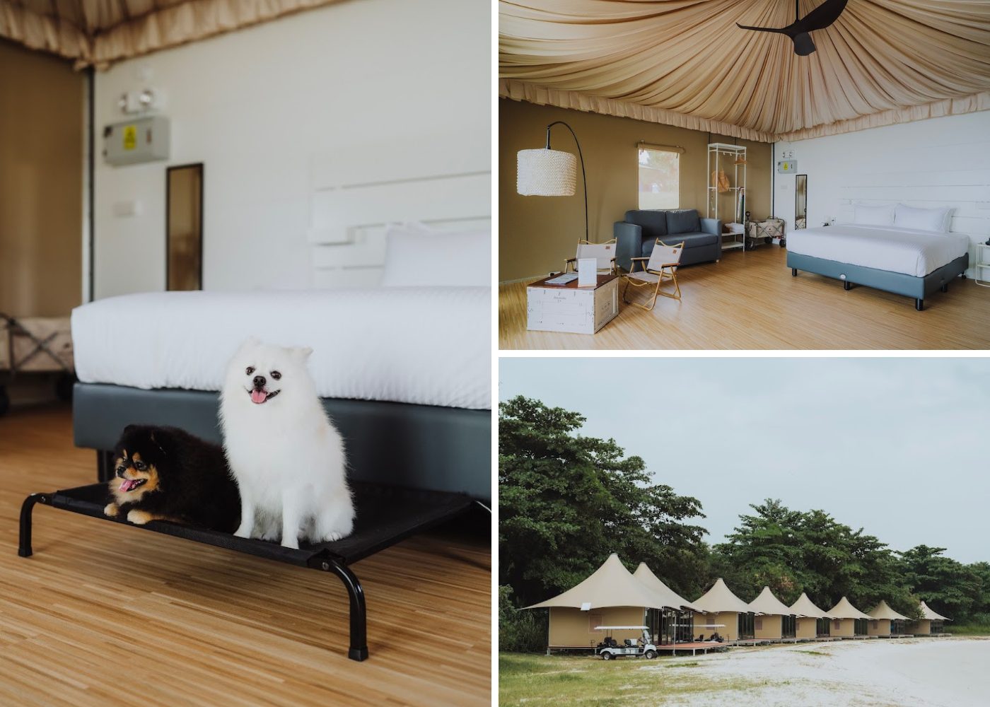dog friendly staycation Into the Woods