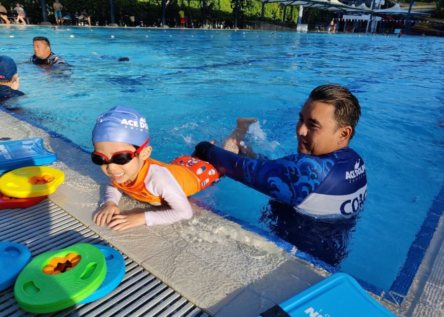 swim schools ace dolphin