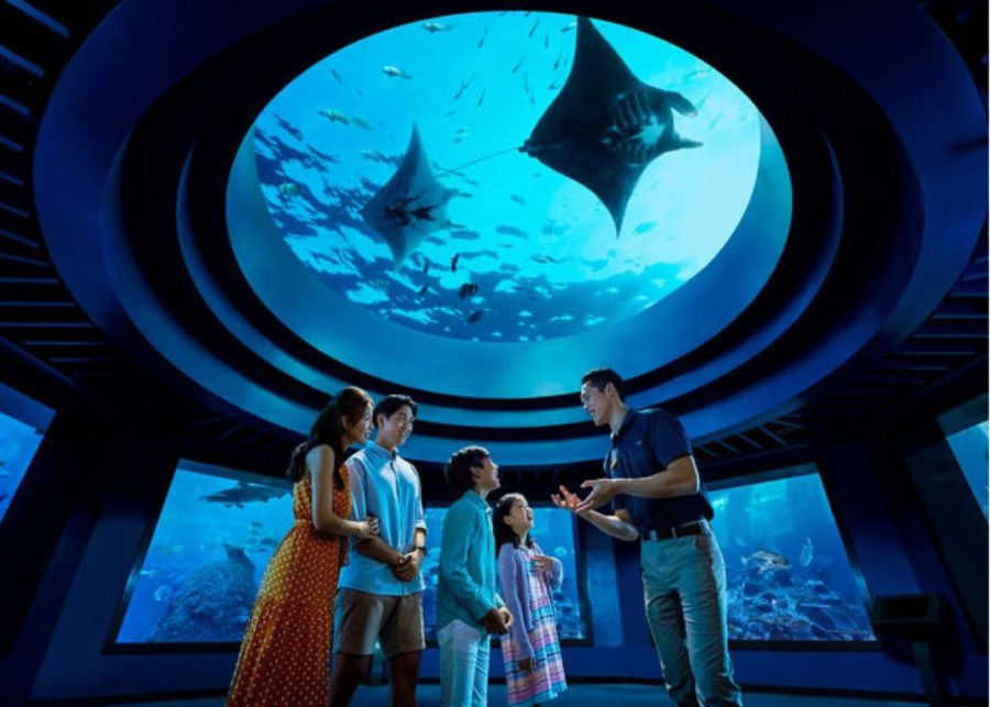 Singapore Oceanarium