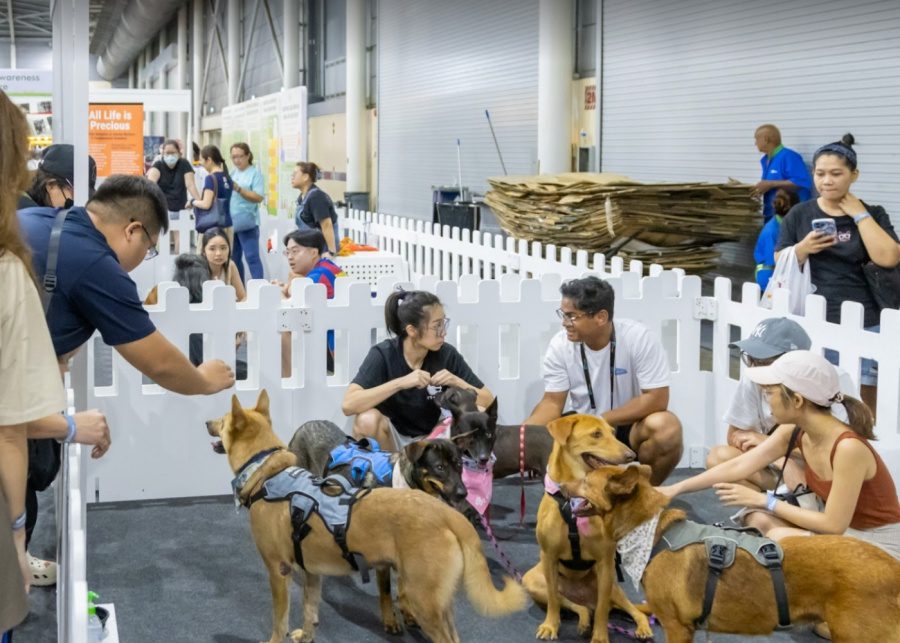 PetExpo 2025 - pet adoption