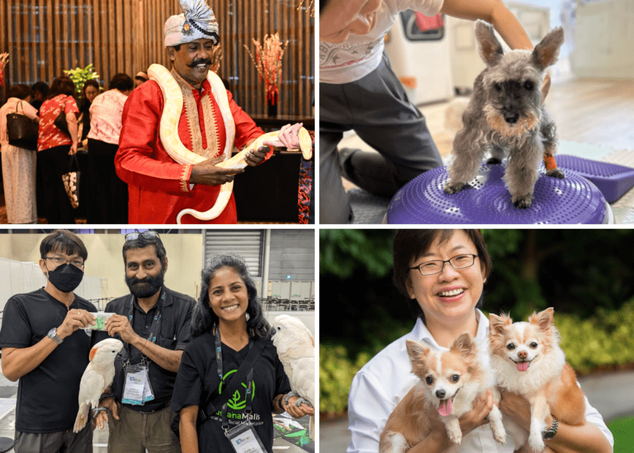 Singapore Pet Expo 2025 things to do with kids this weekend in Singapore