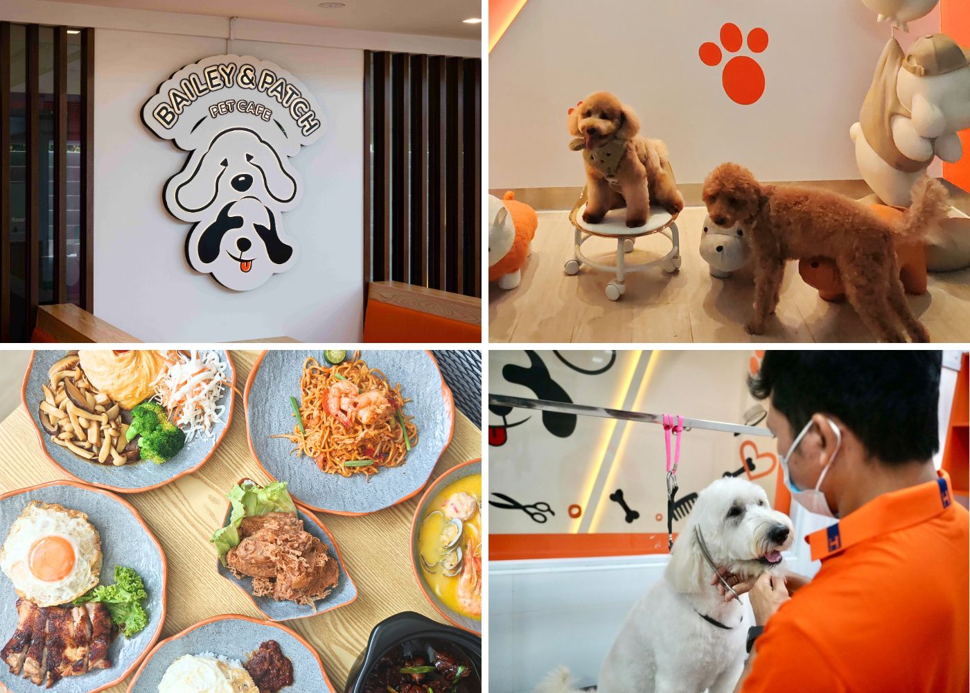 Real review: Pet-friendly cafe Bailey & Patch brings furry love to Enabling Village with food, grooming, and a whole lot of good vibes