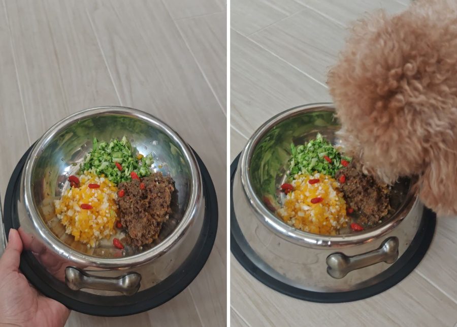 Bailey and patch pet friendly cafe pet food