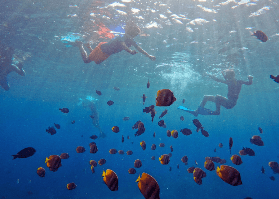 Snorkelling in Bali